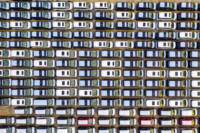 Trolleys, Territory and Tiny Victories: The Unhinged Psychology of the Bunnings Carpark